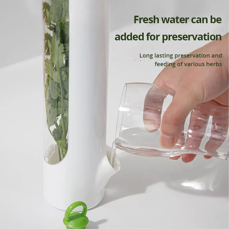 1 Pc Vegetable Preserving Bottle Herbal Preserving Herb Storage Bottle Home Kitchen Gadget Fresh for Storing Kitchen Supplies